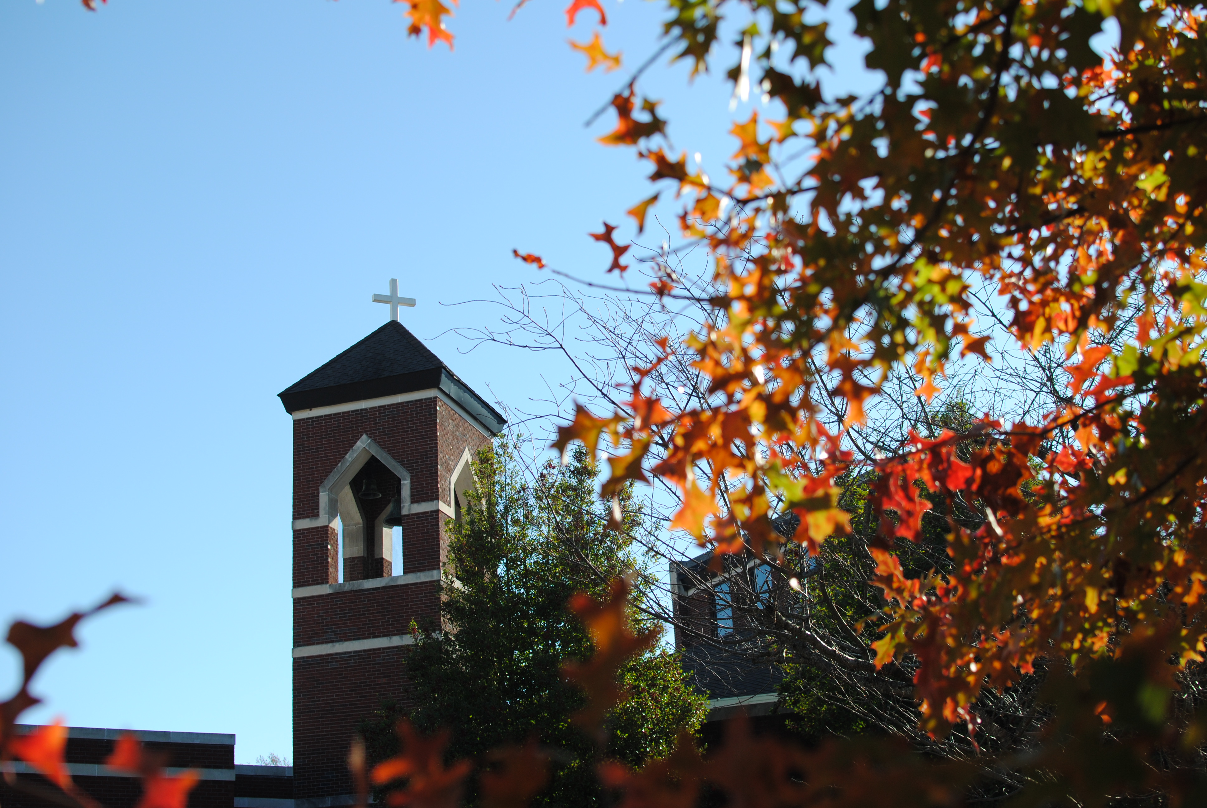 Community Life – St. Mary's Catholic Church