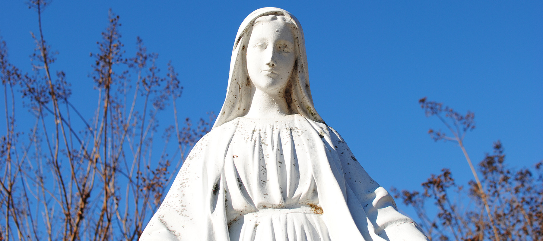 Announcements_Header_1800x800