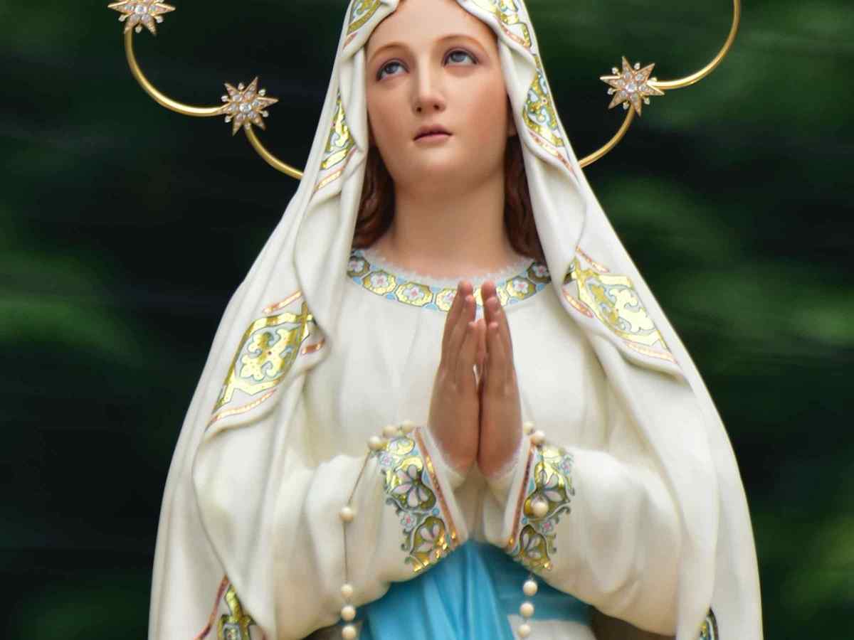 Mater Dei Award: Information &&nbsp;Nomination